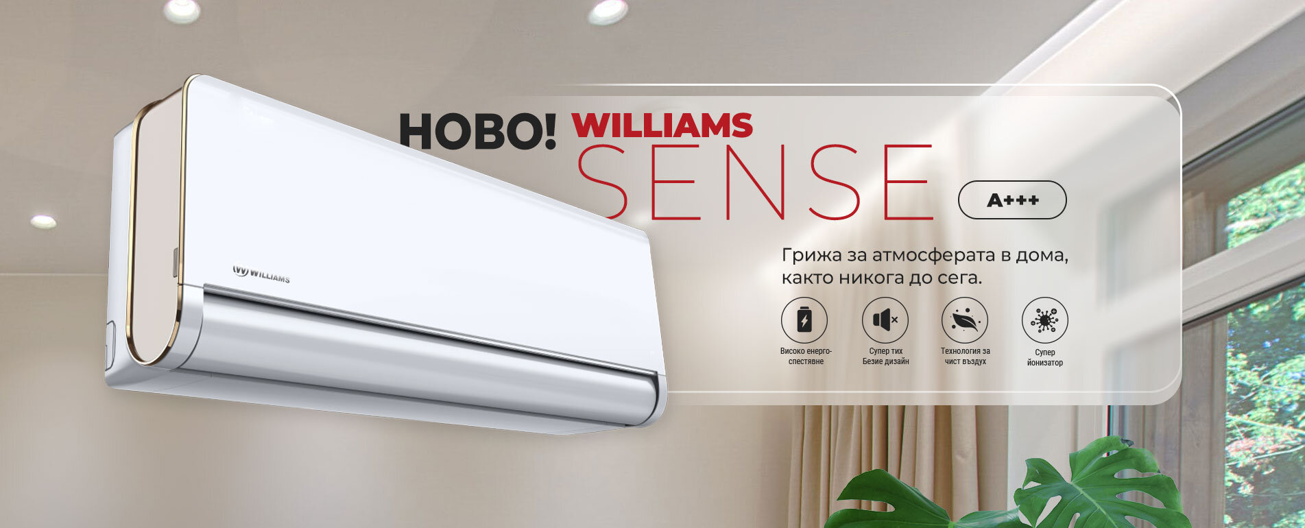 williams sense 2